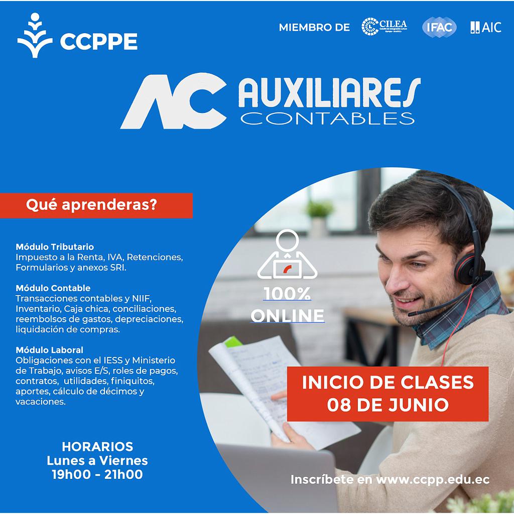 Auxiliares Contables