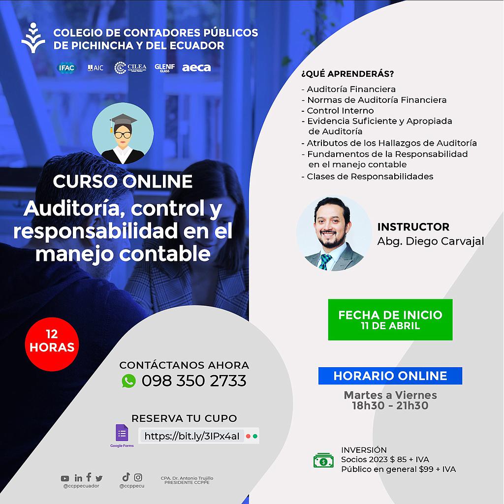 ON LINE: Certificación en Auditoría, control y responsabilidad – 11 abril 2023